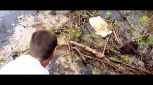 поездка за воблерами ЧАСТЬ 46