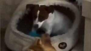 Техничный захват спального места. 

Спокойной ночи!