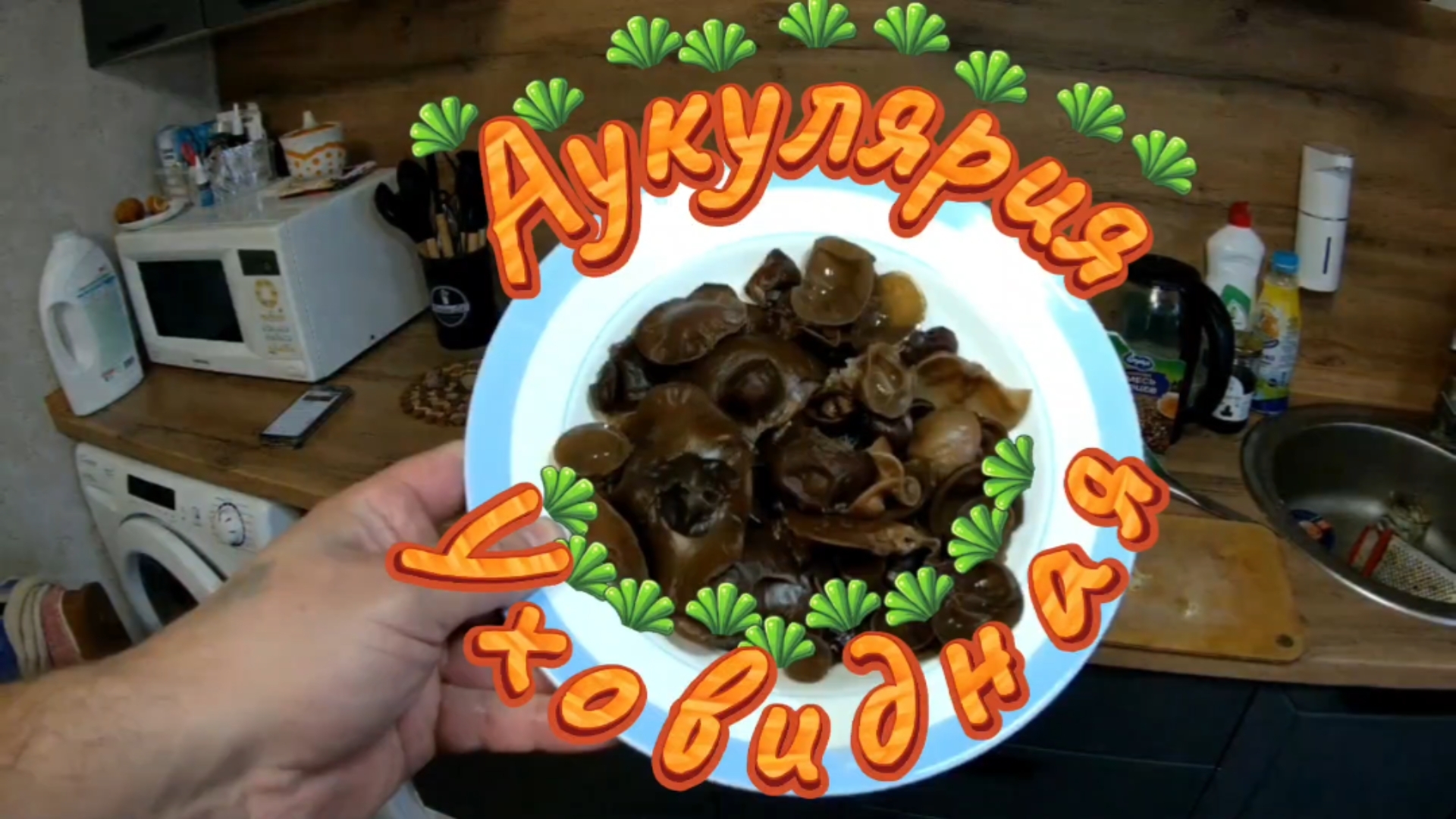 Аукулярия уховидная. Салат.