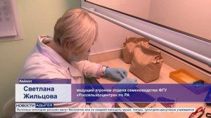 Информационный выпуск Майкопского телевидения 25.02.2026 г.