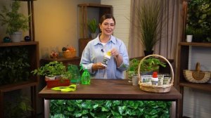 АЛГА АМИНОМИКС АМИНОКАЛИЙФОСФАТ