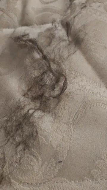 Удаление шерсти кошки с матраса
