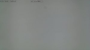 LIVE: channel43489494