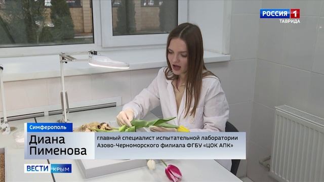 В Крыму усилили контроль качества цветов в преддверии 8 Марта смотреть онлайн