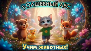 УГАДАЙ ЖИВОТНОЕ ПО ТЕНИ 🦊 Кто живет в лесу? | Мультик-игра 🦊 ВОЛШЕБНЫЙ ЛЕС!!!!