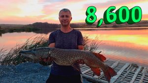 🔥 ОГРОМНАЯ ЩУКА 9 кг на БЛЕСНУ 9 гр (а что за блесна?) Валидольное вываживание щуки-гурмана 🔥