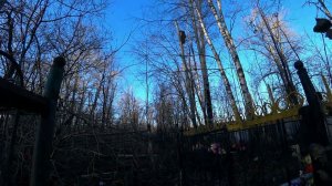 Удаление дерева