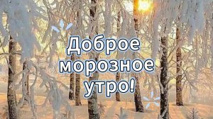 Доброе морозное утро! ❄️✨ Пусть день начнётся волшебно!