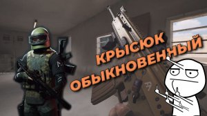 Arena Breakout Infinite - КРЫСЮК ОБЫКНОВЕННЫЙ