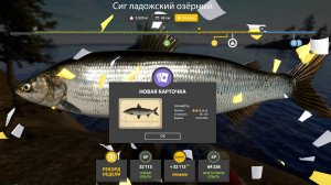 НОВЫЕ ФАРМЫ НА МЕДНОМ И СУРЕ СВОДКА ПО ВОДОЕМАМ И РАЗДАЧИ В РУССКОЙ РЫБАЛКЕ 4 РР4