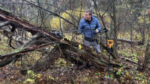 Я не поверил своим глазам: Первый заход на усадьбу в лесу дал невероятный результат!!!