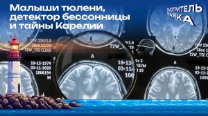 Малыши тюлени, детектор бессонницы и тайны Карелии | Смотритель маяка с Романом Маякиным