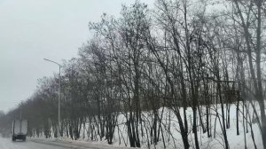 Приехали в Белгород 26.02.26.