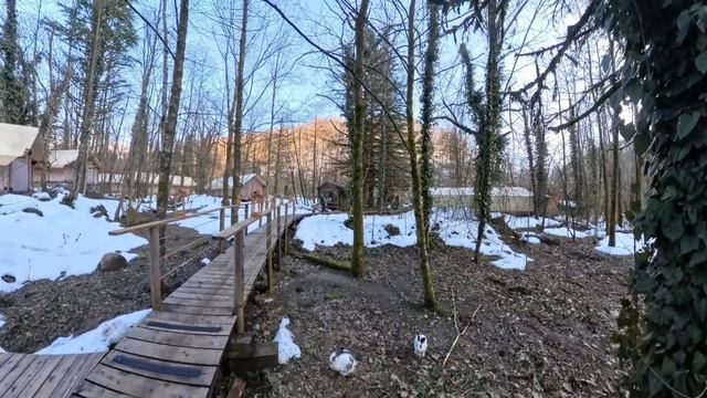 Глэмпинг ЛЕС в Сочи