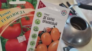 Как сеять томаты на рассаду?Обзор моей рассады