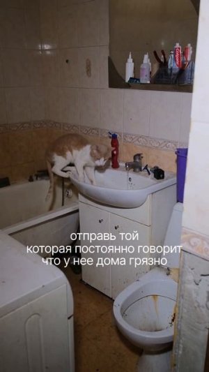 На тот случай, если у вас есть такие друзья😁