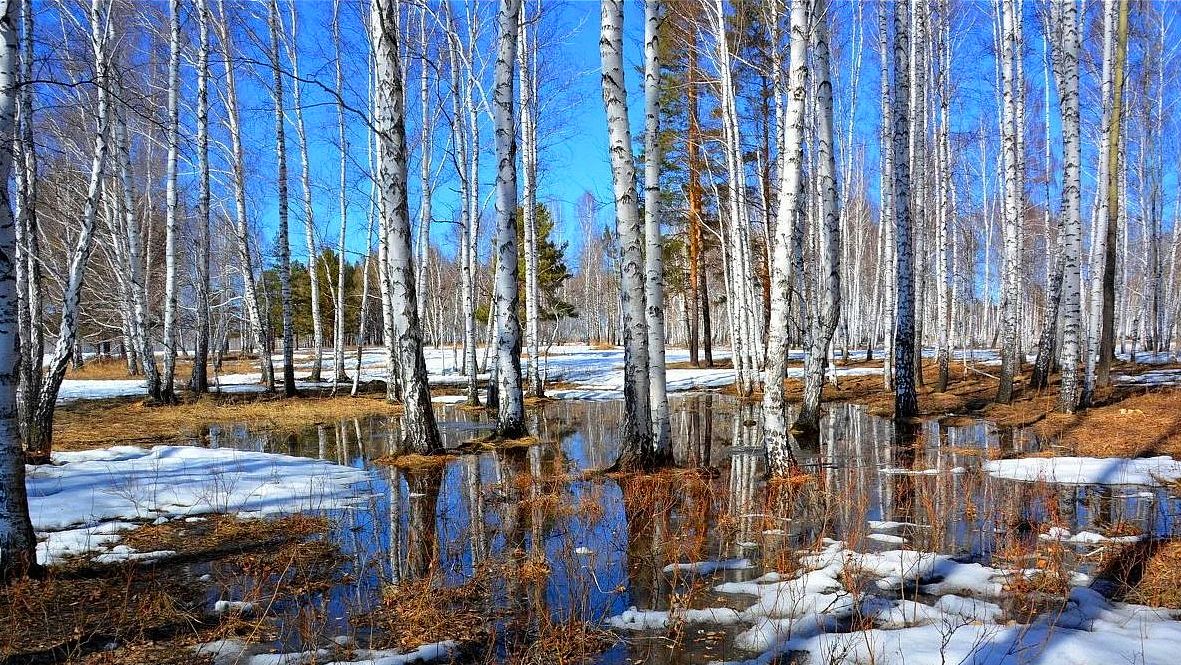 Весна за околицей
