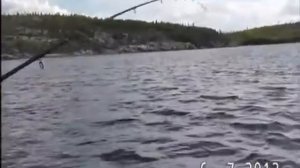 Ловля трески 4