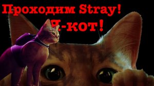 Проходим игру Stray! Что ждёт впереди?
