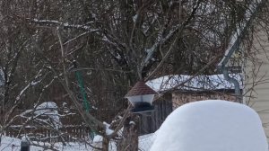 дача конец февраля 2026