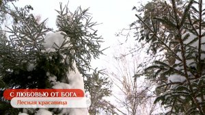 Лесная красавица | С любовью от Бога