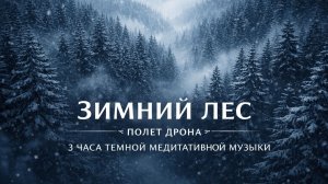❄️ Зимний лес с дрона | 3 часа медитативной музыки для сна и релакса