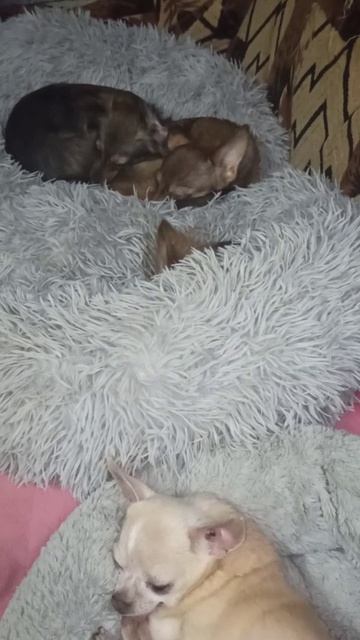 Юточка. 14 февраля 2026 г.