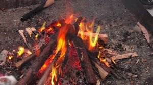 Дух Севера 25 февраля 2026