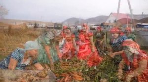 Ауыл ҡыҙҙары