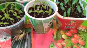 Лунный посевной календарь на март 2026 г. 🌱