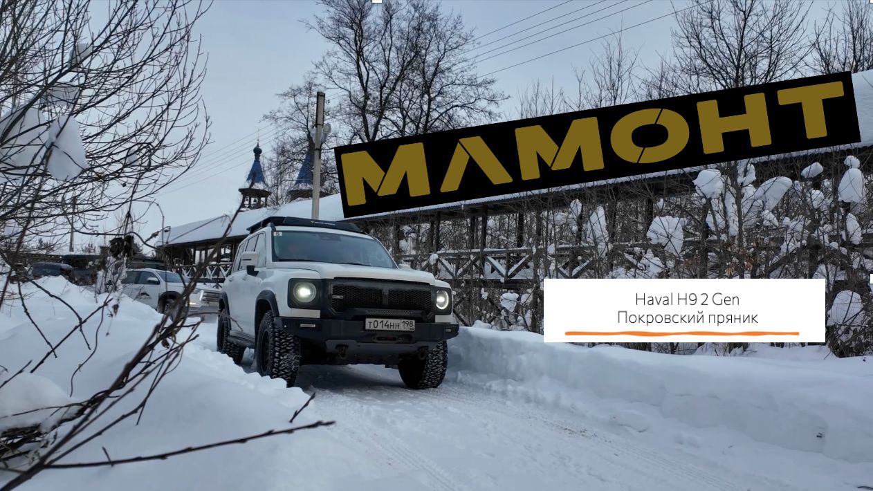 Haval H9 Gen 2 (2024)  MAMONT. Покровский пряник 2026