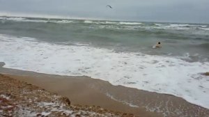 ФЕОДОСИЯ В Крыму ШТОРМ Ветер 25 мс Погода тёплая Купаюсь на Море Вода 700C 7 ФЕВРАЛЯ Крымский