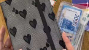 Планировщик бюджета /обзор/распаковка