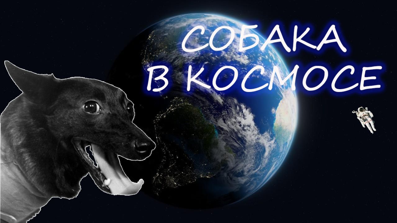 Собака Чернушка:космический полёт перед Гагариным