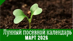 Лунный ПОСЕВНОЙ КАЛЕНДАРЬ НА МАРТ 2026 года. Что нужно посеять в марте