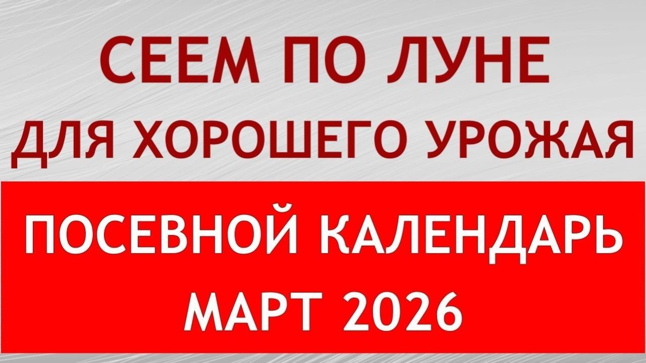 Когда сеять на рассаду в МАРТЕ 2026. Точный лунный посевной календарь на март 2026 по дням. смотреть онлайн
