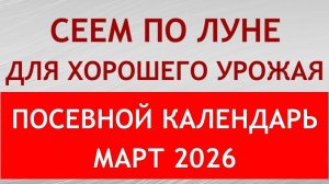 Когда сеять на рассаду в МАРТЕ 2026. Точный лунный посевной календарь на март 2026 по дням.