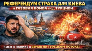 Лондон и Брюссель против всех: Европа готовит новый газовый удар! Киев в панике из-за референдума