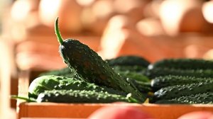 И не забудьте огурцы: экс-мэра Троицка в Челябинской области осудили за взятку