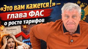 «Это вам кажется!» — глава ФАС о росте тарифов | Дмитрий ЗАХАРЬЯЩЕВ