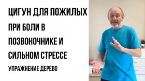 Упражнение дерево | Цигун для пожилых упражнение для гибкости позвоночника и снижения стресса