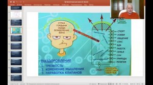 Компульсивное поведение