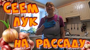 СЕЕМ ЛУК НА РАССАДУ