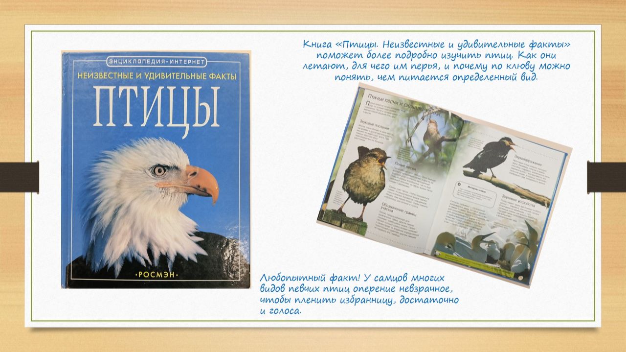 Природа на страницах удивительных книг