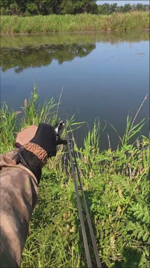 Рыбалка на Рогатку - Slingshot Fishing #охотасрогаткой #top #headshot  #fishing #1m