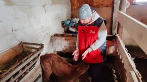 Что теперь делать?! Расстроена покупкой!