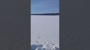 Знакомство с озером Славинское(Григинское).