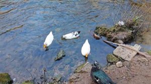 🇹🇷 верхний Водопад Дюден! Анталия Турция. Перевыкладываю по просьбам подписчиков