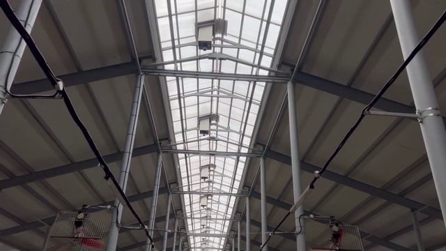 Животноводство в ПФО продолжает наращивать темпы производства. Новости экономики на 20.02.26