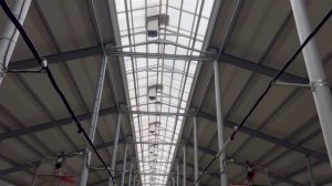 Животноводство в ПФО продолжает наращивать темпы производства. Новости экономики на 20.02.26